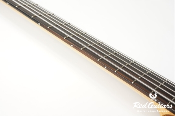 Platinum Series Single-Cut , e-volution 5 - Macassar Ebony